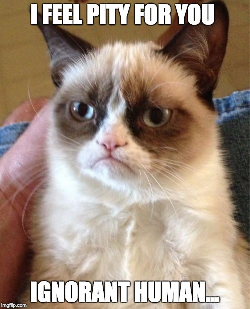 Grumpy Cat Meme | I FEEL PITY FOR YOU; IGNORANT HUMAN... | image tagged in memes,grumpy cat | made w/ Imgflip meme maker