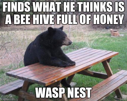 Bad Luck Bear Meme | FINDS WHAT HE THINKS IS A BEE HIVE FULL OF HONEY; WASP NEST | image tagged in memes,bad luck bear | made w/ Imgflip meme maker