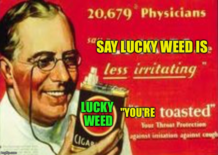 SAY LUCKY WEED IS; "YOU'RE; LUCKY WEED | image tagged in weed | made w/ Imgflip meme maker