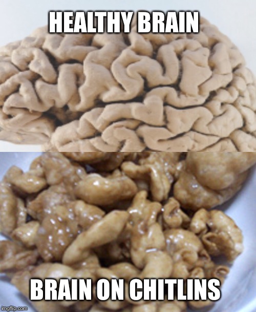 SCARING THE CHITLINS OUT OF YOU | HEALTHY BRAIN; BRAIN ON CHITLINS | image tagged in brain | made w/ Imgflip meme maker