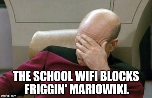 Seriously?? | THE SCHOOL WIFI BLOCKS FRIGGIN' MARIOWIKI. | image tagged in memes,captain picard facepalm,mario,why | made w/ Imgflip meme maker