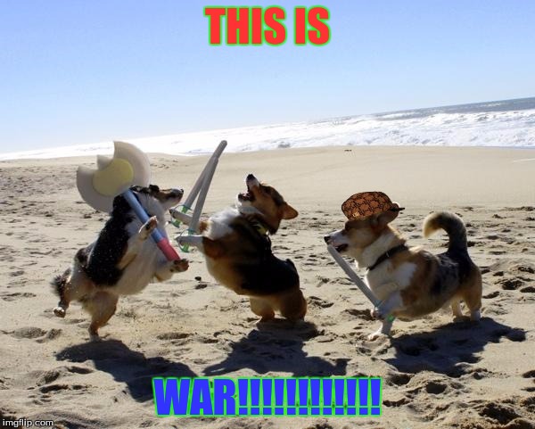 Dogs fight | THIS IS; WAR!!!!!!!!!!!! | image tagged in dogs fight,scumbag | made w/ Imgflip meme maker