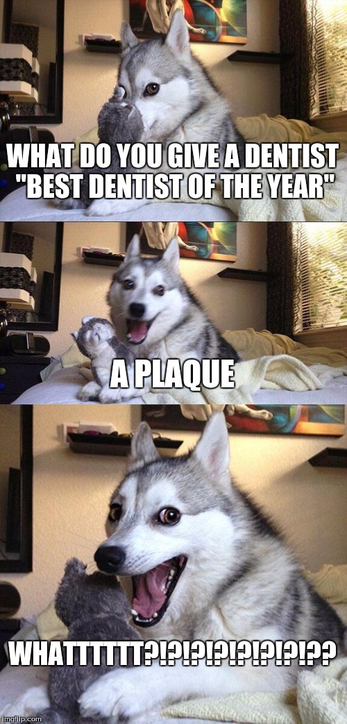 Bad Pun Dog is a dentist 
Not
 | WHAT DO YOU GIVE A DENTIST "BEST DENTIST OF THE YEAR"; A PLAQUE; WHATTTTTT?!?!?!?!?!?!?!?? | image tagged in memes,bad pun dog | made w/ Imgflip meme maker