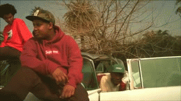 image tagged in gifs | made w/ Imgflip video-to-gif maker