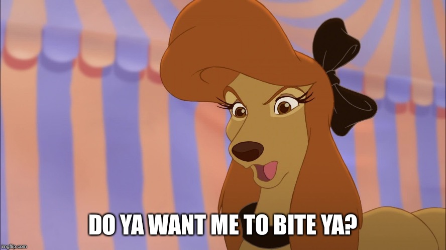 Do Ya Want Me To Bite Ya? | DO YA WANT ME TO BITE YA? | image tagged in dixie,memes,disney,the fox and the hound 2,reba mcentire,dog | made w/ Imgflip meme maker