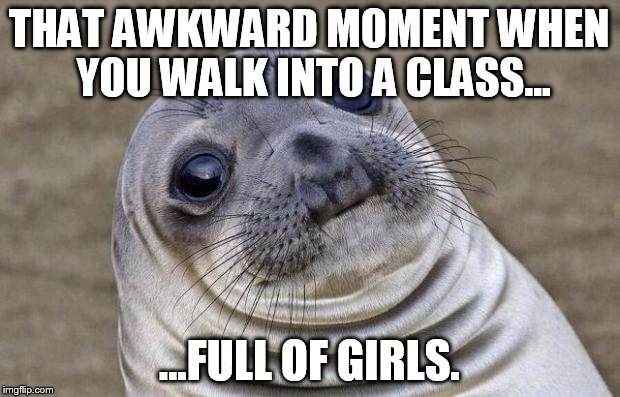 Awkward Moment Sealion | THAT AWKWARD MOMENT WHEN YOU WALK INTO A CLASS... ...FULL OF GIRLS. | image tagged in memes,awkward moment sealion | made w/ Imgflip meme maker
