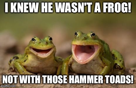 I KNEW HE WASN'T A FROG! NOT WITH THOSE HAMMER TOADS! | made w/ Imgflip meme maker