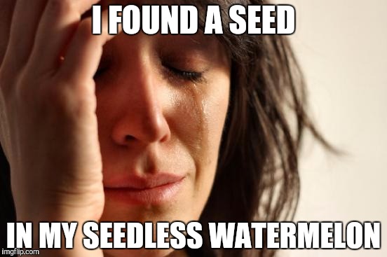 First World Problems | I FOUND A SEED; IN MY SEEDLESS WATERMELON | image tagged in memes,first world problems | made w/ Imgflip meme maker