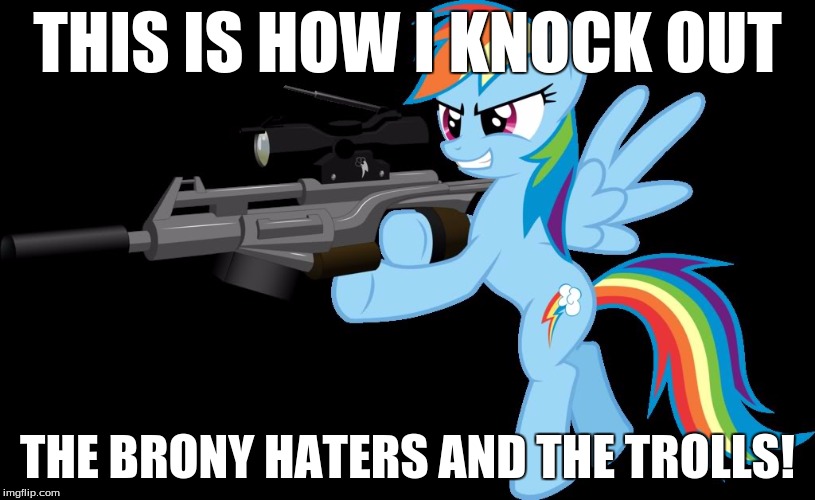 gunning rainbow dash | THIS IS HOW I KNOCK OUT; THE BRONY HATERS AND THE TROLLS! | image tagged in gunning rainbow dash | made w/ Imgflip meme maker