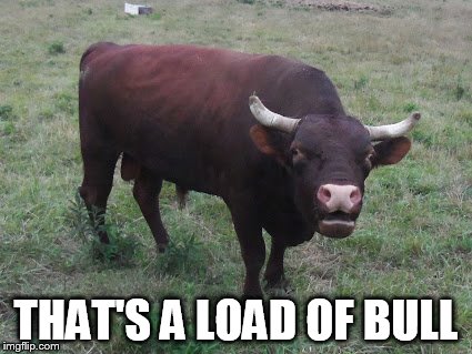 THAT'S A LOAD OF BULL | made w/ Imgflip meme maker