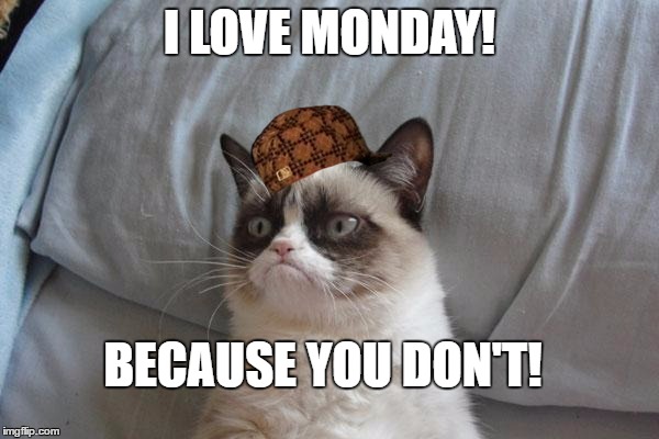 Mondays | I LOVE MONDAY! BECAUSE YOU DON'T! | image tagged in memes,grumpy cat bed,grumpy cat,scumbag | made w/ Imgflip meme maker