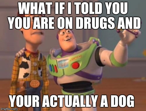 X, X Everywhere | WHAT IF I TOLD YOU YOU ARE ON DRUGS AND; YOUR ACTUALLY A DOG | image tagged in memes,x x everywhere | made w/ Imgflip meme maker