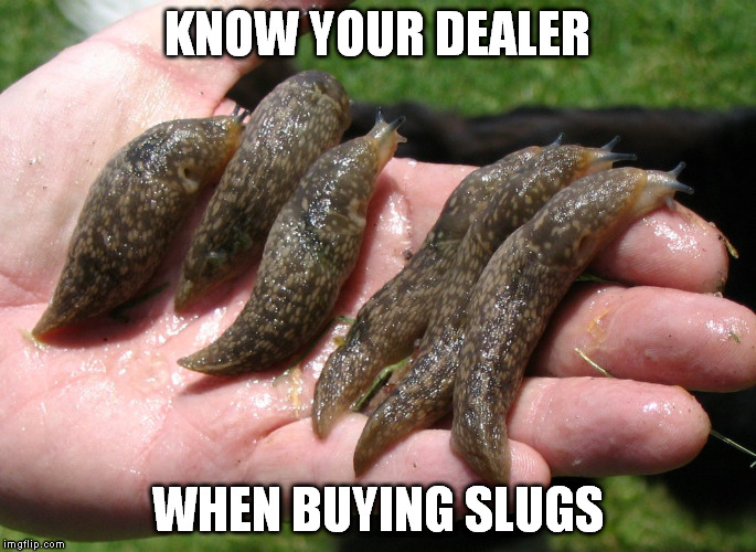 KNOW YOUR DEALER WHEN BUYING SLUGS | made w/ Imgflip meme maker