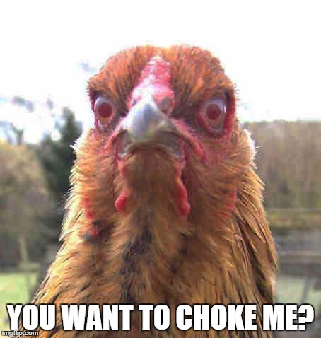 revenge chicken | YOU WANT TO CHOKE ME? | image tagged in revenge chicken | made w/ Imgflip meme maker