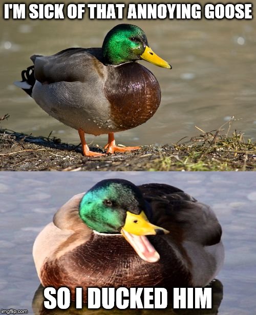 Bad Pun Duck | I'M SICK OF THAT ANNOYING GOOSE; SO I DUCKED HIM | image tagged in bad pun duck | made w/ Imgflip meme maker