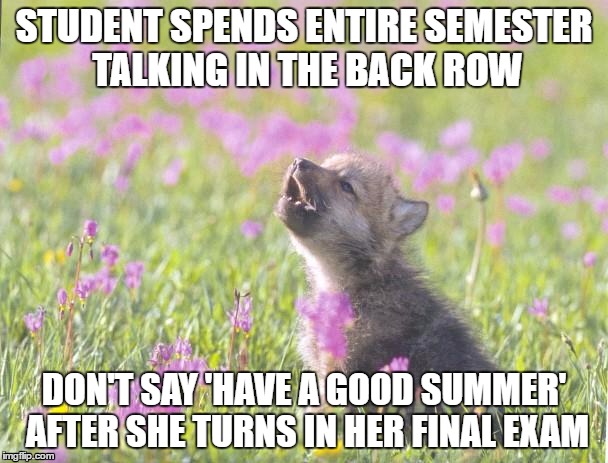 Baby Insanity Wolf | STUDENT SPENDS ENTIRE SEMESTER TALKING IN THE BACK ROW; DON'T SAY 'HAVE A GOOD SUMMER' AFTER SHE TURNS IN HER FINAL EXAM | image tagged in memes,baby insanity wolf,AdviceAnimals | made w/ Imgflip meme maker
