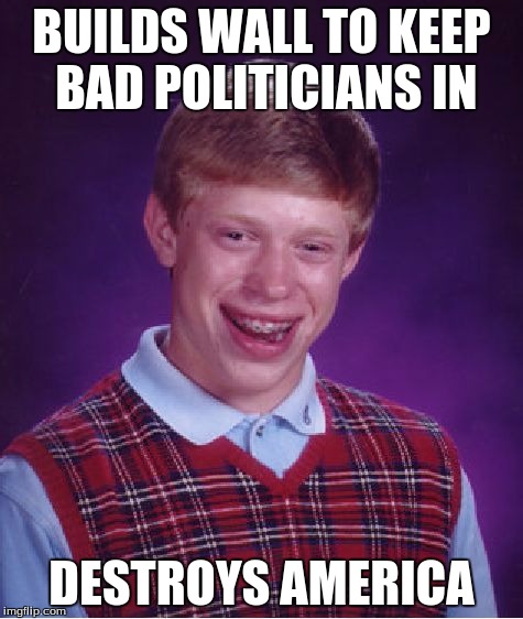 BUILDS WALL TO KEEP BAD POLITICIANS IN DESTROYS AMERICA | image tagged in memes,bad luck brian | made w/ Imgflip meme maker