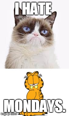 I HATE; MONDAYS. | image tagged in grumpy cat | made w/ Imgflip meme maker