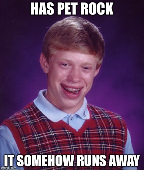 Bad Luck Brian Meme | HAS PET ROCK; IT SOMEHOW RUNS AWAY | image tagged in memes,bad luck brian | made w/ Imgflip meme maker