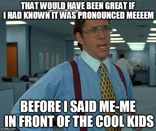 That Would Be Great | THAT WOULD HAVE BEEN GREAT IF I HAD KNOWN IT WAS PRONOUNCED MEEEEM; BEFORE I SAID ME-ME IN FRONT OF THE COOL KIDS | image tagged in memes,that would be great | made w/ Imgflip meme maker