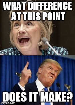 WHAT DIFFERENCE AT THIS POINT; DOES IT MAKE? | image tagged in hillary clinton,donald trump | made w/ Imgflip meme maker