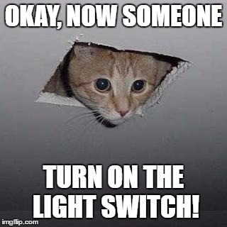 Is this how lightbulbs work? | OKAY, NOW SOMEONE; TURN ON THE LIGHT SWITCH! | image tagged in memes,ceiling cat | made w/ Imgflip meme maker