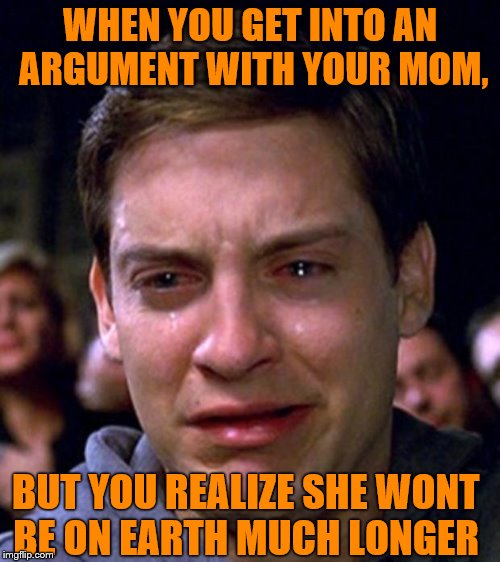 crying peter parker | WHEN YOU GET INTO AN ARGUMENT WITH YOUR MOM, BUT YOU REALIZE SHE WONT BE ON EARTH MUCH LONGER | image tagged in crying peter parker | made w/ Imgflip meme maker