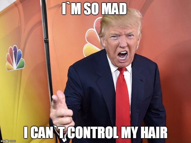 I`M SO MAD; I CAN`T CONTROL MY HAIR | image tagged in donald trump | made w/ Imgflip meme maker