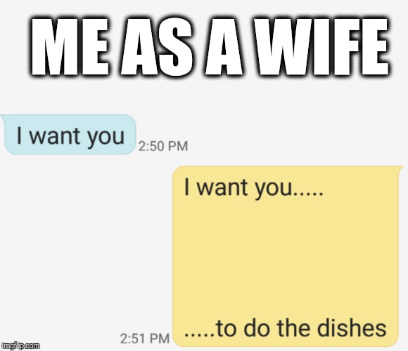 ME AS A WIFE | image tagged in wife | made w/ Imgflip meme maker