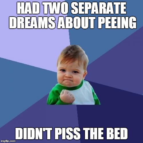 Success Kid Meme | HAD TWO SEPARATE DREAMS ABOUT PEEING; DIDN'T PISS THE BED | image tagged in memes,success kid,AdviceAnimals | made w/ Imgflip meme maker