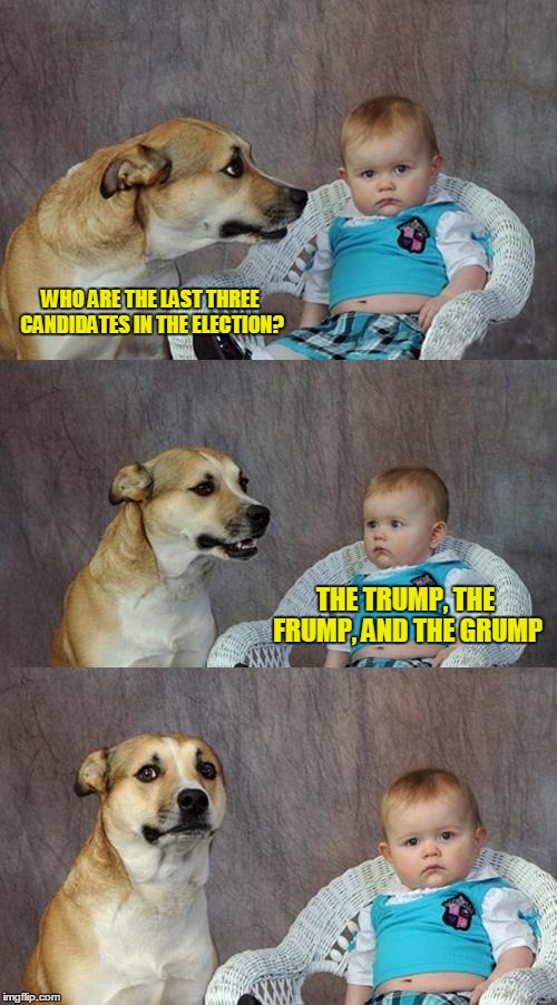 Last 3 | WHO ARE THE LAST THREE CANDIDATES IN THE ELECTION? THE TRUMP, THE FRUMP, AND THE GRUMP | image tagged in memes,dad joke dog,election,politics | made w/ Imgflip meme maker