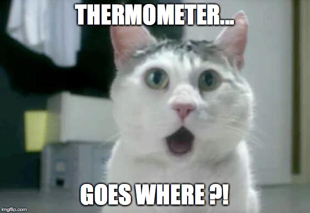 OMG Cat | THERMOMETER... GOES WHERE ?! | image tagged in memes,omg cat | made w/ Imgflip meme maker