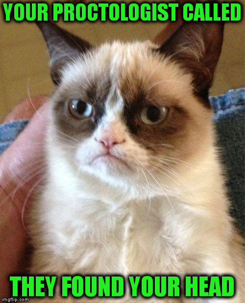 Grumpy Cat | YOUR PROCTOLOGIST CALLED; THEY FOUND YOUR HEAD | image tagged in memes,grumpy cat | made w/ Imgflip meme maker