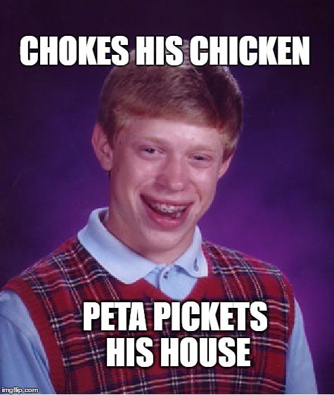 Bad Luck Brian | CHOKES HIS CHICKEN; PETA PICKETS HIS HOUSE | image tagged in memes,bad luck brian | made w/ Imgflip meme maker