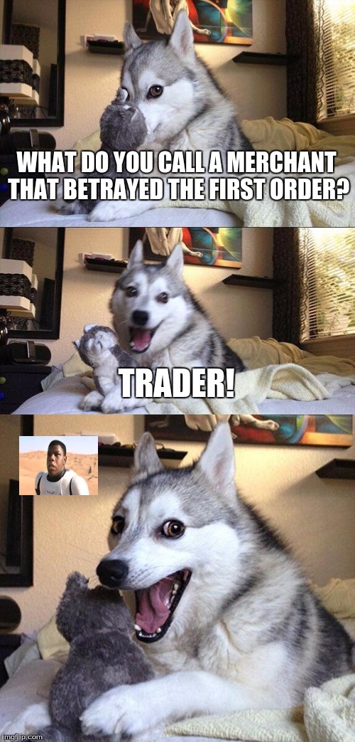 yet another bad Star Wars pun! | WHAT DO YOU CALL A MERCHANT THAT BETRAYED THE FIRST ORDER? TRADER! | image tagged in memes,bad pun dog,traitor | made w/ Imgflip meme maker