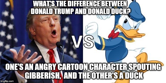 Donald Duck Trump | WHAT'S THE DIFFERENCE BETWEEN DONALD TRUMP AND DONALD DUCK? ONE'S AN ANGRY CARTOON CHARACTER SPOUTING GIBBERISH,  AND THE OTHER'S A DUCK | image tagged in donald duck trump | made w/ Imgflip meme maker