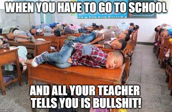 ZZZZZZZZ Class Room | WHEN YOU HAVE TO GO TO SCHOOL; AND ALL YOUR TEACHER TELLS YOU IS BULLSHIT! | image tagged in zzzz class room,made by 8year old,funny | made w/ Imgflip meme maker