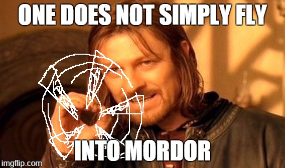 unless you're smaug | ONE DOES NOT SIMPLY FLY; INTO MORDOR | image tagged in memes,one does not simply | made w/ Imgflip meme maker