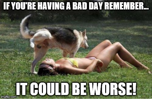 Bad Day | IF YOU'RE HAVING A BAD DAY REMEMBER... IT COULD BE WORSE! | image tagged in monday,bad,day,dog,piss,on | made w/ Imgflip meme maker