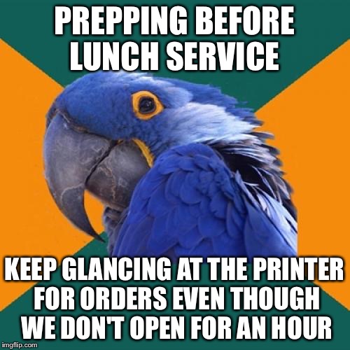 Paranoid Parrot Meme | PREPPING BEFORE LUNCH SERVICE; KEEP GLANCING AT THE PRINTER FOR ORDERS EVEN THOUGH WE DON'T OPEN FOR AN HOUR | image tagged in memes,paranoid parrot | made w/ Imgflip meme maker