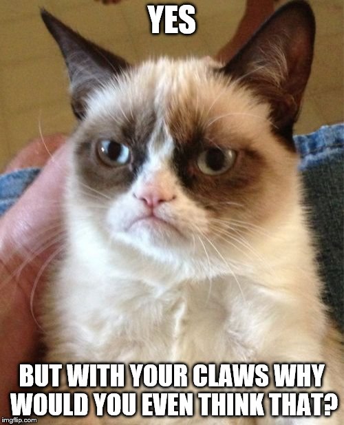 Grumpy Cat Meme | YES BUT WITH YOUR CLAWS WHY WOULD YOU EVEN THINK THAT? | image tagged in memes,grumpy cat | made w/ Imgflip meme maker