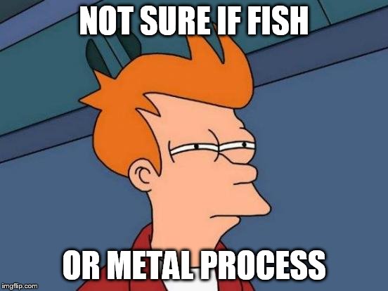 Futurama Fry Meme | NOT SURE IF FISH OR METAL PROCESS | image tagged in memes,futurama fry | made w/ Imgflip meme maker