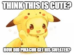 THINK THIS IS CUTE? HOW DID PIKACHU GET HIS SWEATER? | image tagged in pika sweater | made w/ Imgflip meme maker