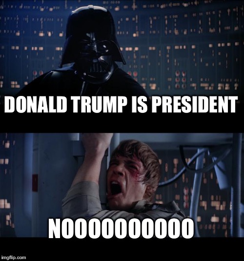 Star Wars No Meme | DONALD TRUMP IS PRESIDENT; NOOOOOOOOOO | image tagged in memes,star wars no,donald trump | made w/ Imgflip meme maker