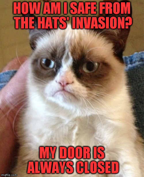 Grumpy Cat | HOW AM I SAFE FROM THE HATS' INVASION? MY DOOR IS ALWAYS CLOSED | image tagged in memes,grumpy cat | made w/ Imgflip meme maker