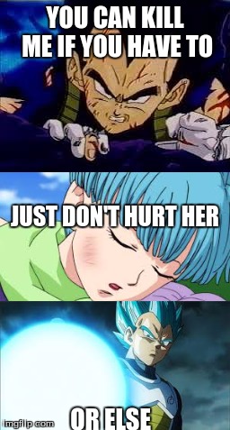 Am I right guys? | YOU CAN KILL ME IF YOU HAVE TO; JUST DON'T HURT HER; OR ELSE | image tagged in vegeta,bulma,super saiyan blue vegeta | made w/ Imgflip meme maker