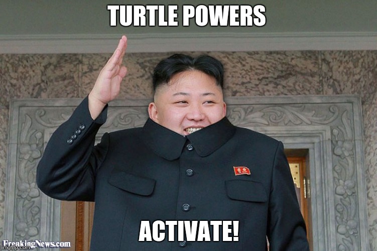 Now we cant be defeated! | TURTLE POWERS; ACTIVATE! | image tagged in kim jong un | made w/ Imgflip meme maker