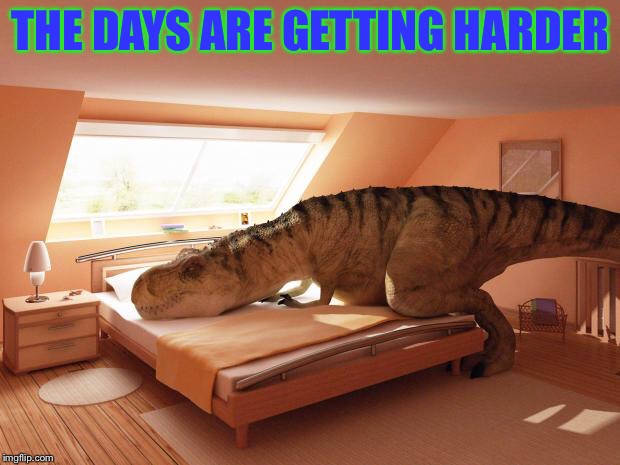  hopefully people will make more of this and I have been trying lately just to reach 100k points so I can make a special meme :) | THE DAYS ARE GETTING HARDER | image tagged in t-rex makes bed | made w/ Imgflip meme maker