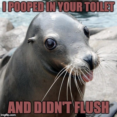 Crappy Smile | I POOPED IN YOUR TOILET; AND DIDN'T FLUSH | image tagged in poop,sealion,smile | made w/ Imgflip meme maker