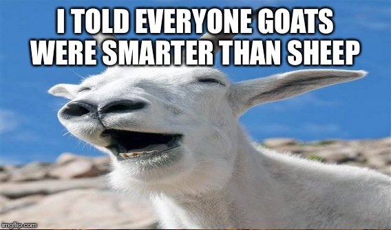 I TOLD EVERYONE GOATS WERE SMARTER THAN SHEEP | made w/ Imgflip meme maker